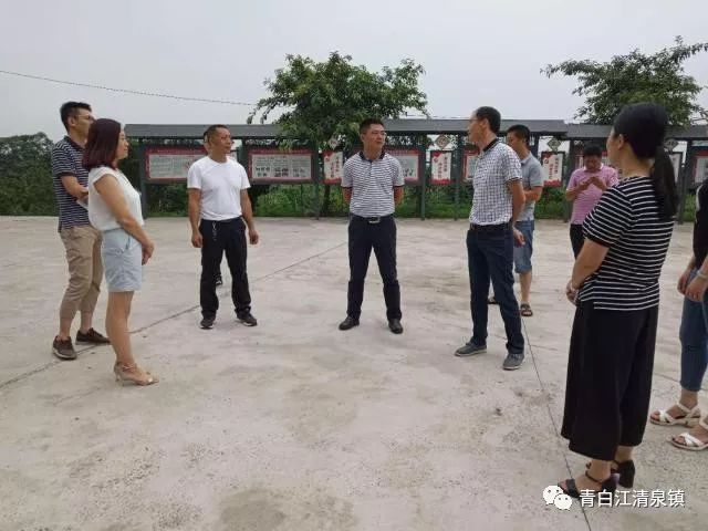 金堂县竹篙镇党委副书记纪委书记蒋建一行到五桂村调研党建品牌建设