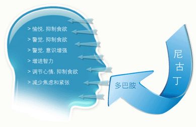 戒烟药的原理_大烟枪戒烟药有效的戒烟神器戒烟产品戒烟液灵戒烟贴烟霸