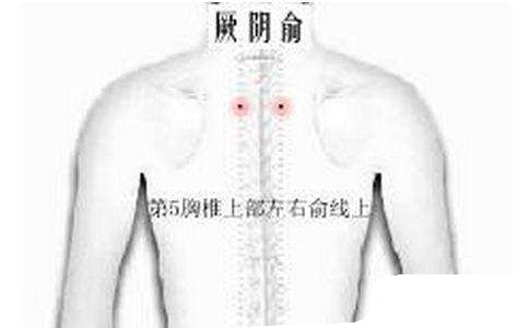 厥阴俞穴位置图和功效作用