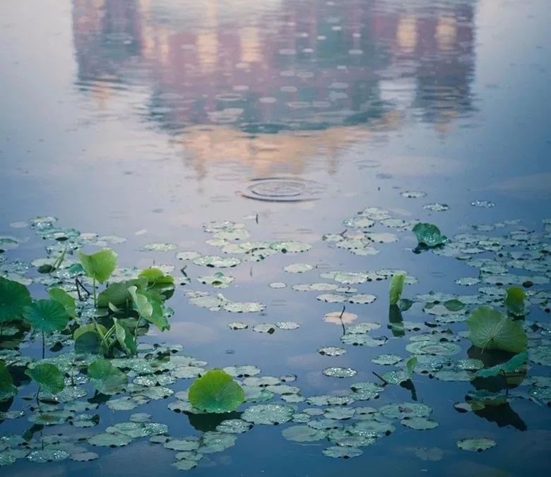 青山无言的隐去 和风吹过 湖中满起了一圈一圈的螺纹 雨落在湖面上溅