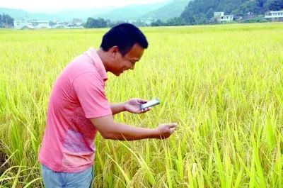 国务院力挺互联网+农业，手机将成为农民的“新农具”，种田、卖