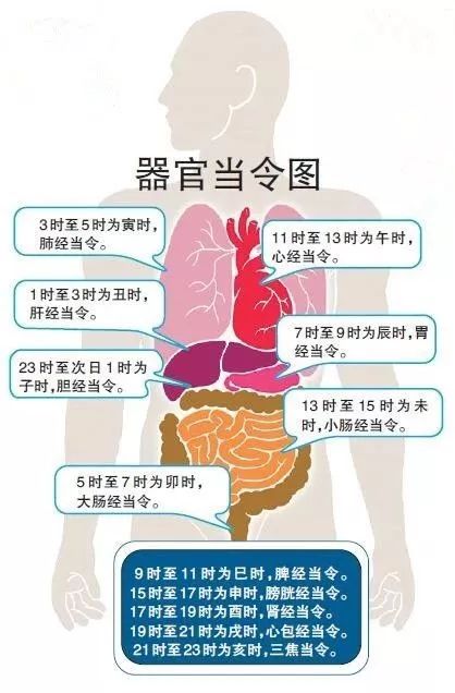 拉屎GDP(3)