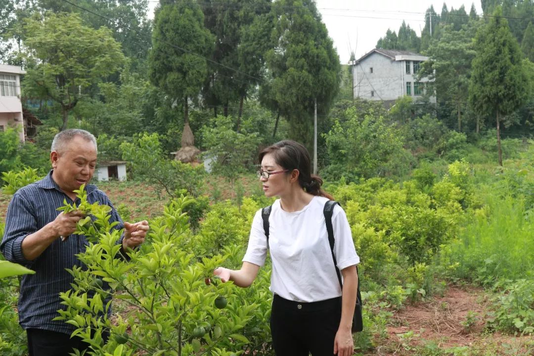 【赤城先锋】心系群众,我是兰草村的女儿