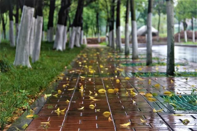 雨本期的主题是雨,我们将跟随着图片去寻找夏日雨后的感觉新发现说来