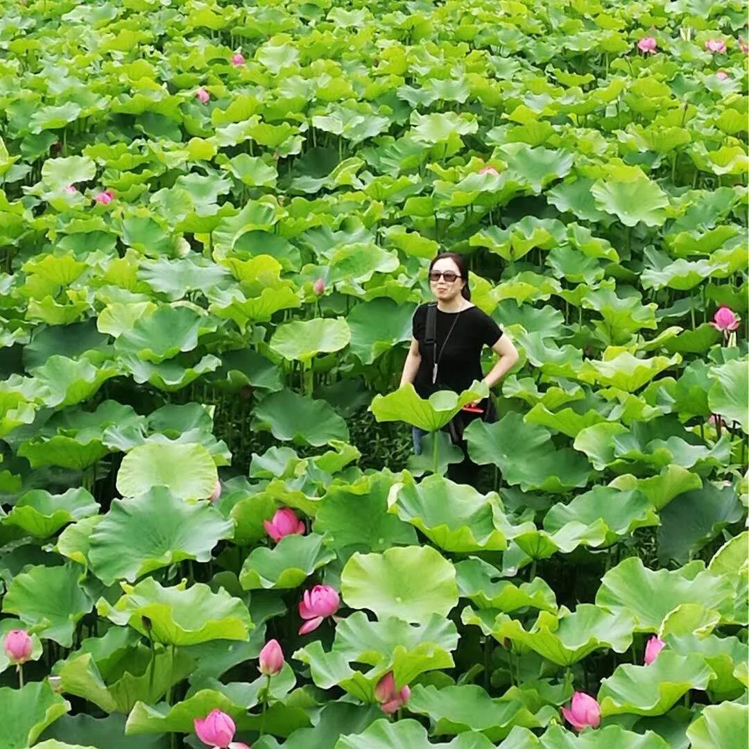 花石桥村人口_丰县梁寨石桥村(2)