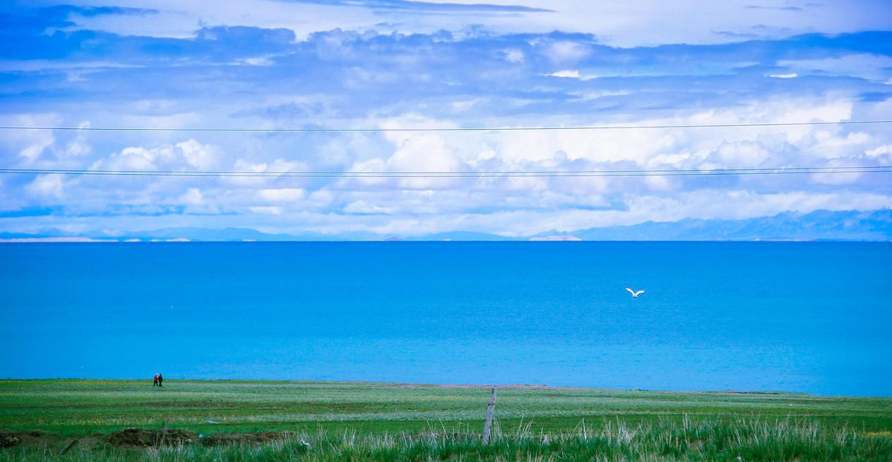 青海湖简谱_青海湖图片风景(2)