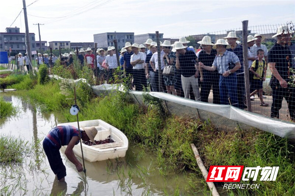 耒阳市遥田镇人口数量_耒阳市遥田机场