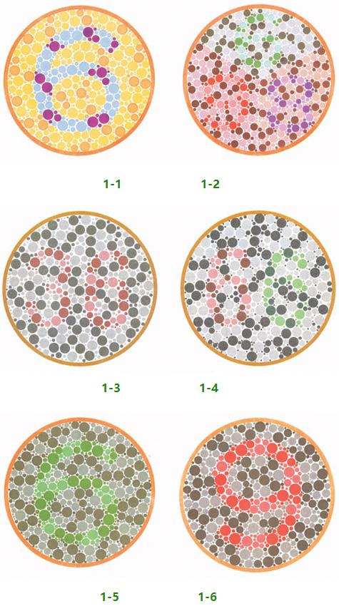 考驾照的第一步,色盲测试,如果你只能看到数字6那就考