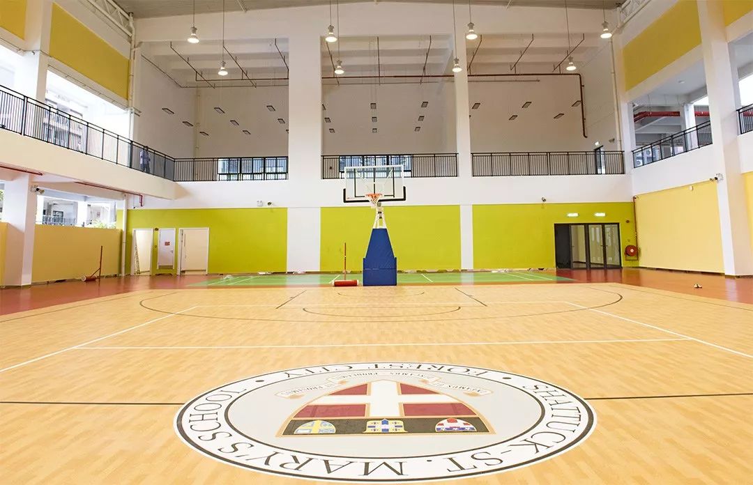 艺术大楼大厅 室内篮球场,健身房,游泳池,足球场, 让孩子们在这里