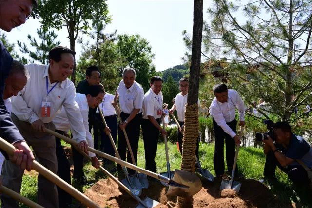 秦宁人口_肇庆市端州区秦宁大厦