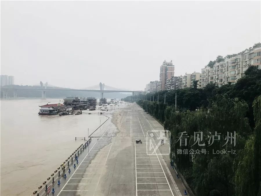 涨水了涨水了涨水了丨泸州滨江路已经变成了这样