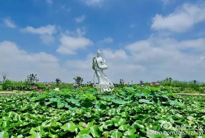 肥东撮镇龙栖地