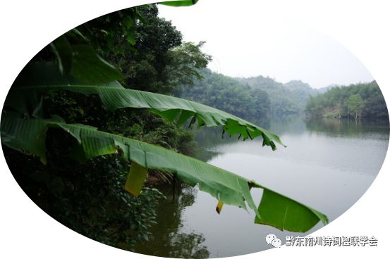 雨打芭蕉词曲谱_雨打芭蕉古筝曲谱