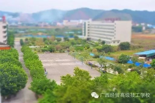 梧州人都知道,一所本科的梧州学院,另一所就是专科的梧州职业学院