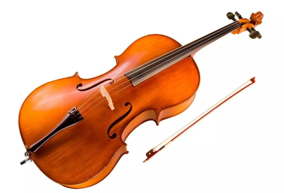 区分大提琴和低音提琴,关键看谁的琴肩是塌的.
