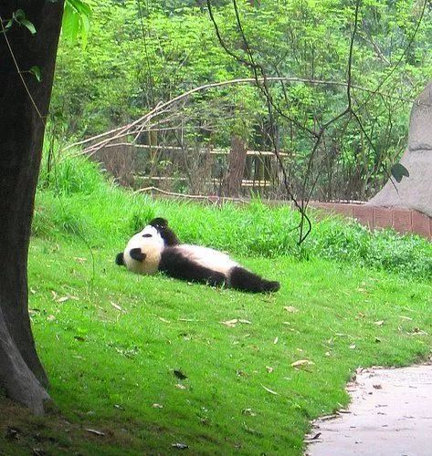 "我无聊的时候会躺着晒太阳"