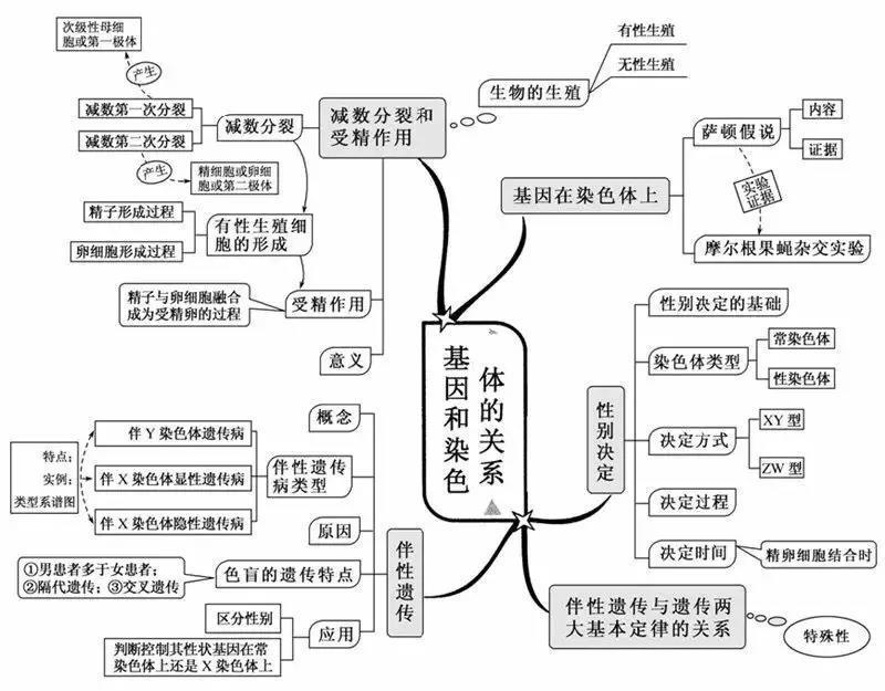 你知道生物"思维导图"吗?网友:学霸路子野啊