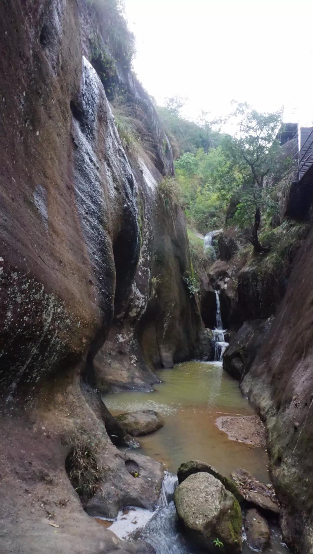 看梧州最美风景,中国罕见低海拔云海日出地——藤县石表山风景区