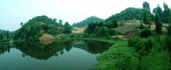 大章镇太极山,白河镇 下寺村银杏林,大坪乡油菜花等乡村旅游景点