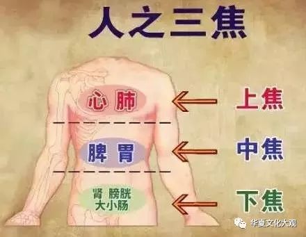 因为脏腑概念与解剖学的脏器概念不同,中医学将三焦单独列为一腑,并非