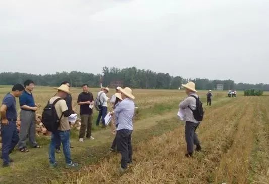 淮滨县有多少人口_固始人眼中的淮滨... 火了 你意想不到