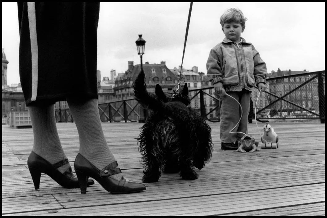 艾略特·厄威特(elliott erwitt)镜头里的狗