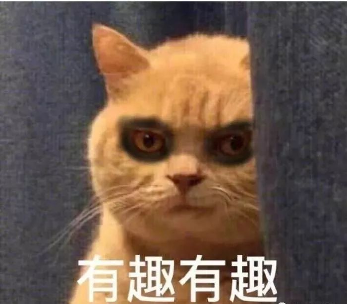 猫咪图