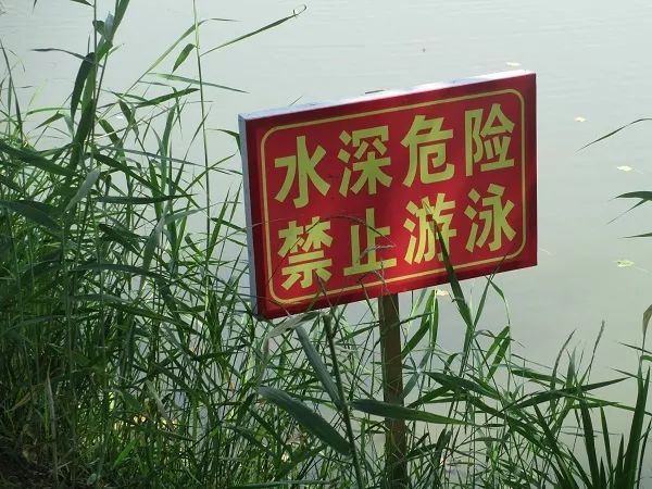 上面写着"水深危险,禁止游泳"八个大字