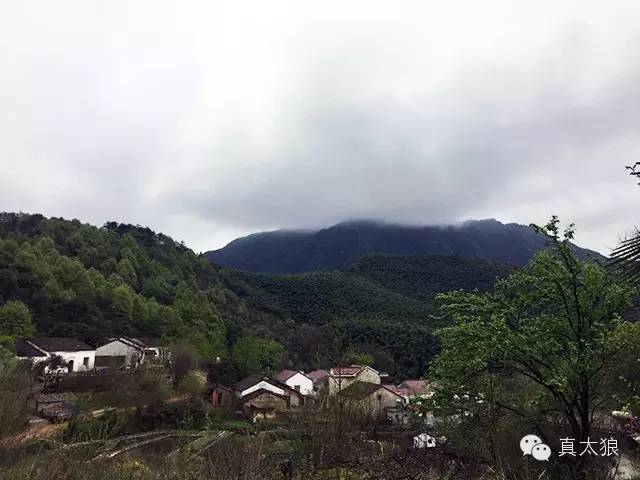 翟大雷述说少年往事—看山