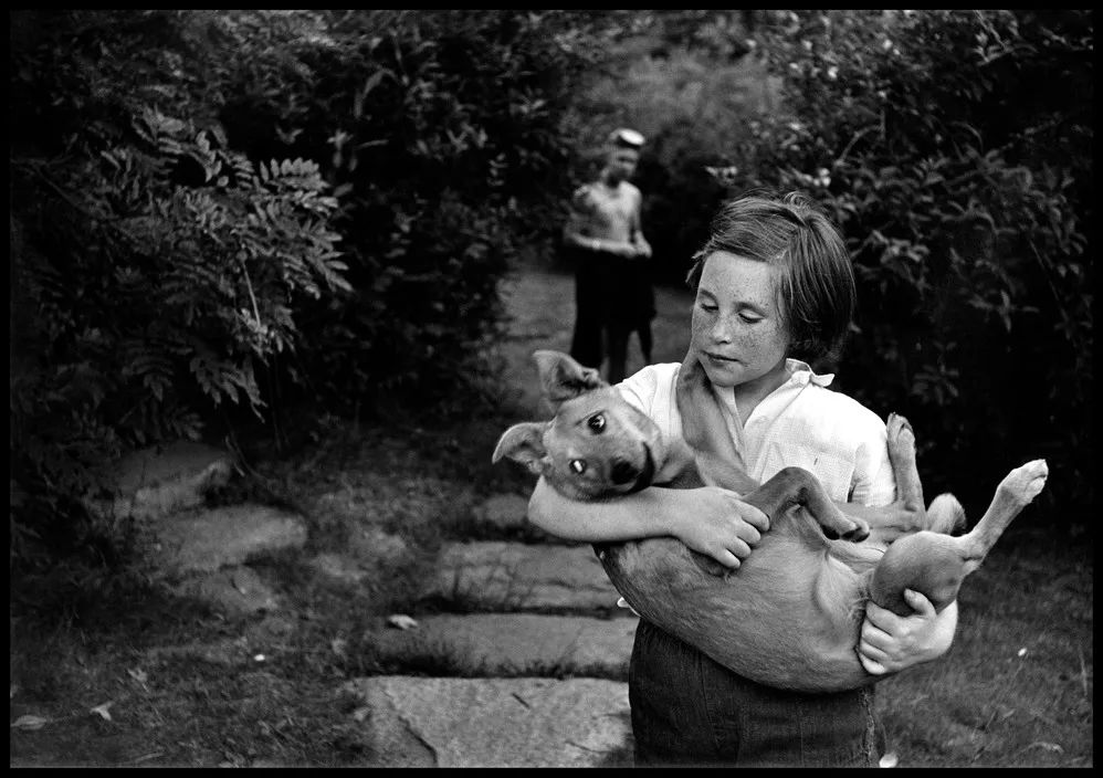 艾略特·厄威特(elliott erwitt)镜头里的狗