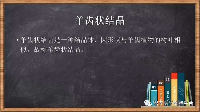 羊齿状结晶知多少