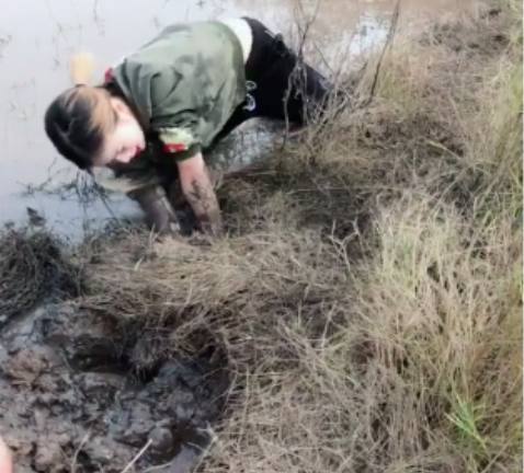 美女陷入污黑泥潭,好心人劝其上岸,最后她的收获却让人欣喜不已