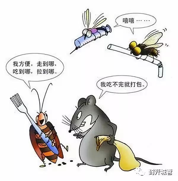 讲卫生 灭四害——封开县城区正在开展灭"四害"行动