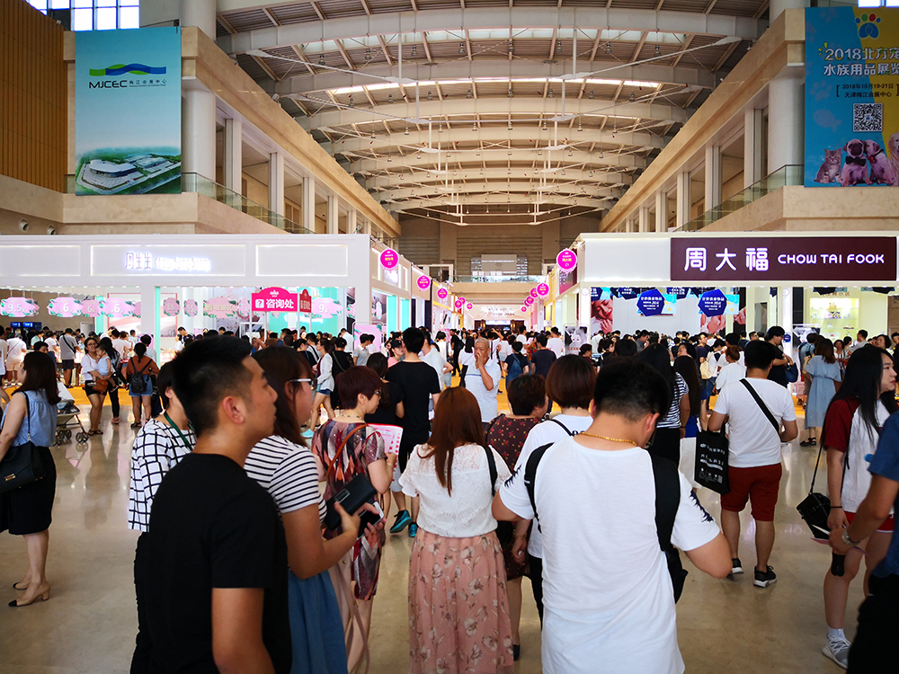 天津婚纱市场_天津中环花鸟鱼虫市场