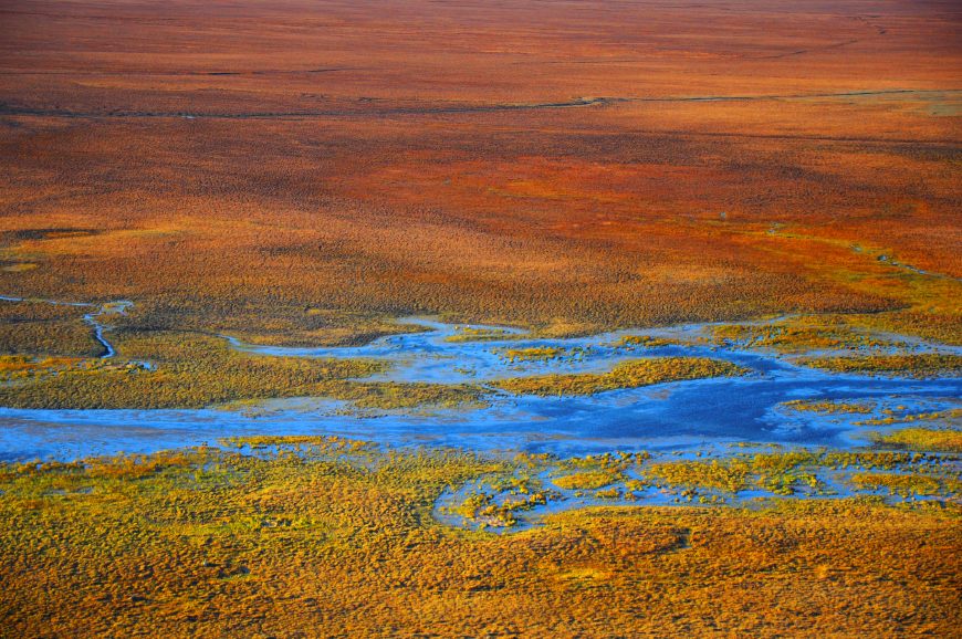 泛亚电竞官网：新疆最美的湿地之一，这片草原上有一个天鹅保护区(图9)