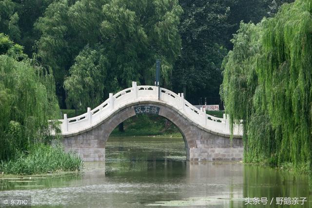 亲子游去这十四个地，北京的父母有福了