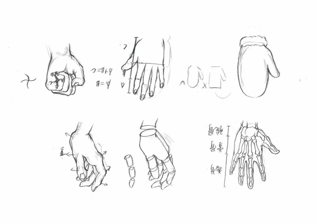 速写人物各局部解析美术生不容错过