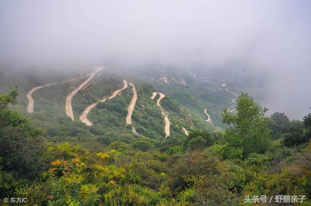 亲子游去这十四个地，北京的父母有福了