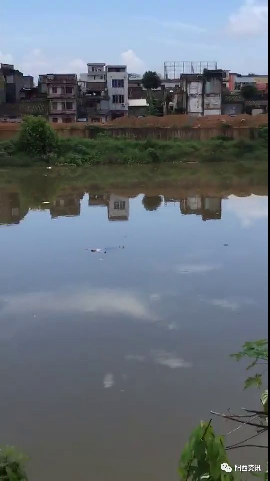 伟呐个阳西织篢河水面惊现落水浮尸