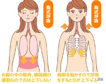 改善呼吸方式,学会用腹部呼吸 胸式呼吸是利用我们胸腔的扩张,而腹式