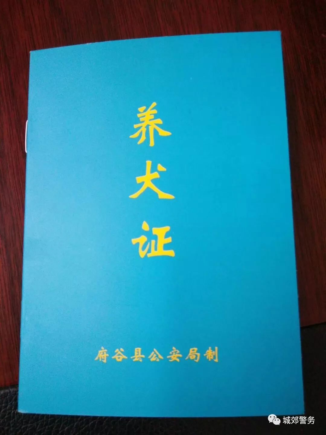 爱犬二寸照片到城郊派出所特行中队登记办理养犬证,领取养犬许可牌,如