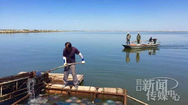 鲅鱼圈人口_异乡找 年味儿 鲅鱼圈人新年出游,最热门目的地竟是这(3)