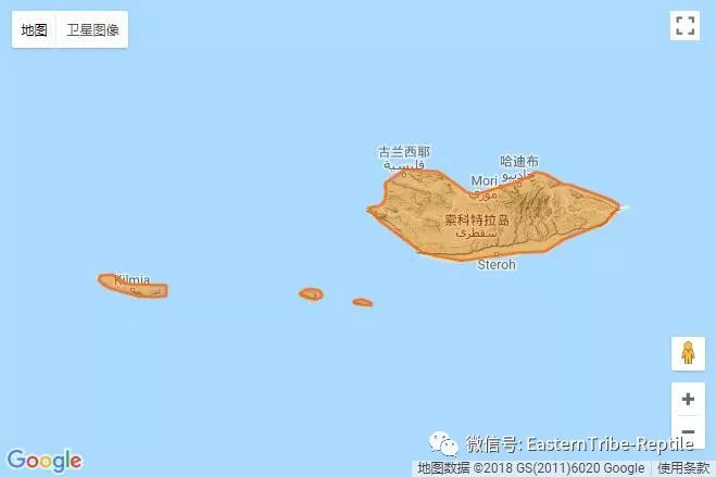 产地分布:索科特拉岛(也门),阿卜杜勒-库里岛 socotra island (yemen)