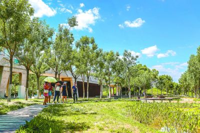 在大兴区生物医药基地附近的永兴河湿地公园内,市民们游览休憩.