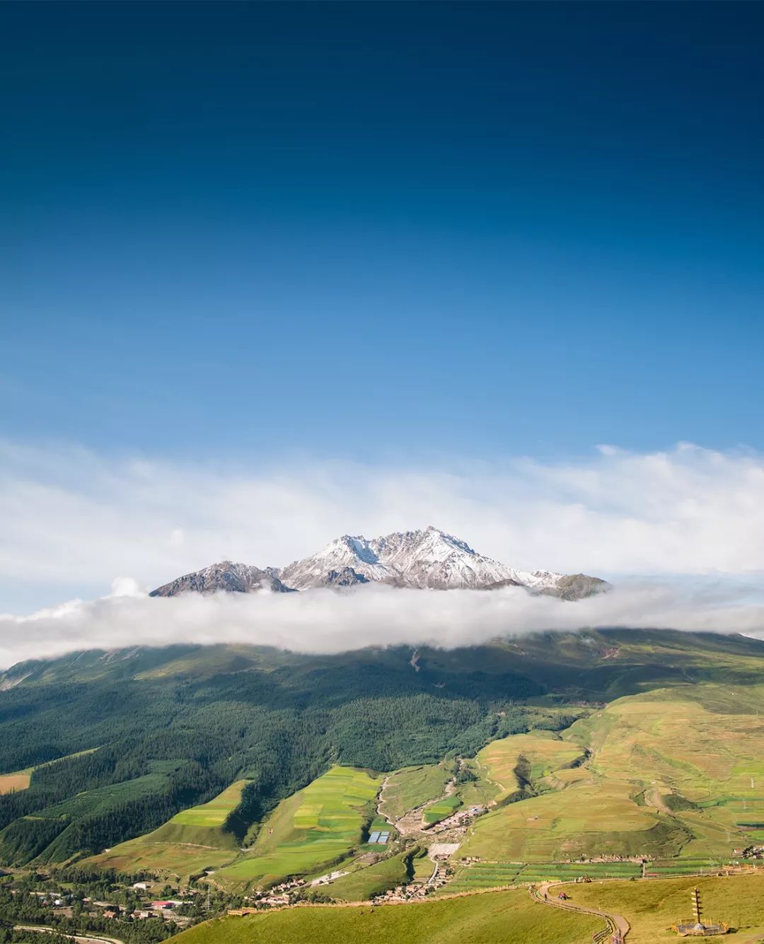 山的海洋viva旅行家在祁连山脉第五集