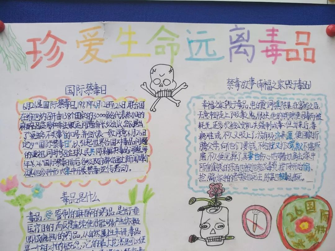 手抄报展示,禁毒再深化,华师附属恒大龙城小学举行"禁毒我先行"手抄报