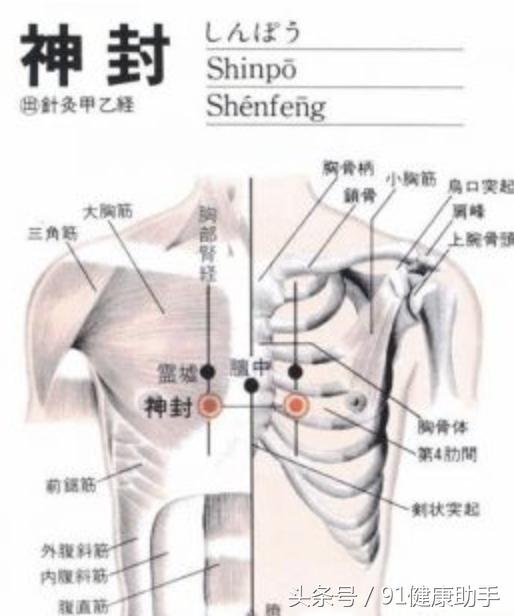 穴位养生咳嗽气喘胸胁胀满呕吐按神封降浊升清宽胸理肺