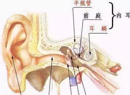 孩子经常喊累,其实是前庭觉和本体觉失调的表现!