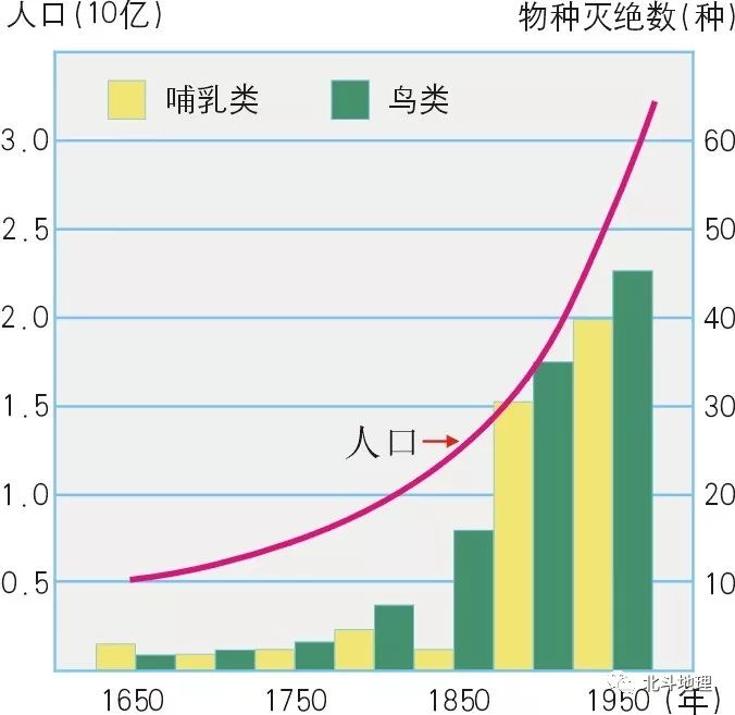 近300年来世界物种灭绝的趋势