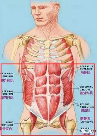 膈肌无力